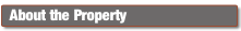 wp22141915.png