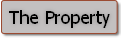 wp442e3694.png